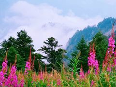 -九峰山