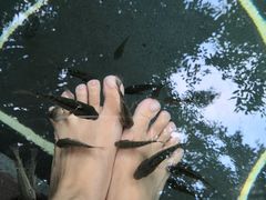 -和顺柏联温泉
