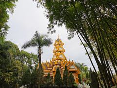 -云南勐巴娜西珍奇园