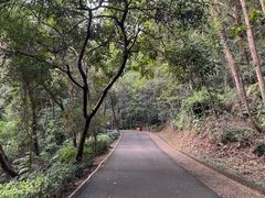 -三水森林公园