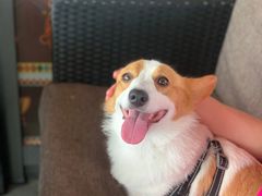 -川卤现捞(大生店)