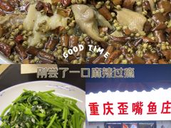 -重庆歪嘴鱼庄(济南模具厂宿舍店)
