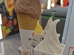-野人先生现做冰淇淋(西安赛格店)