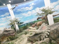 -吉林省自然博物馆