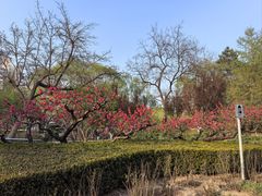 -元大都城垣遗址公园
