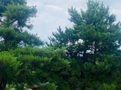 -六鼎山文化旅游区