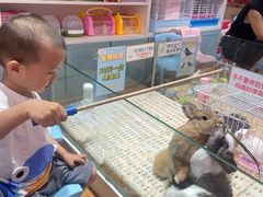 -鹏欣水游城