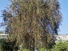 -沙河三洞古桥公园