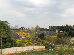 -都江堰玫瑰花溪谷
