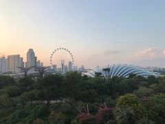 -新加坡摩天观景轮
