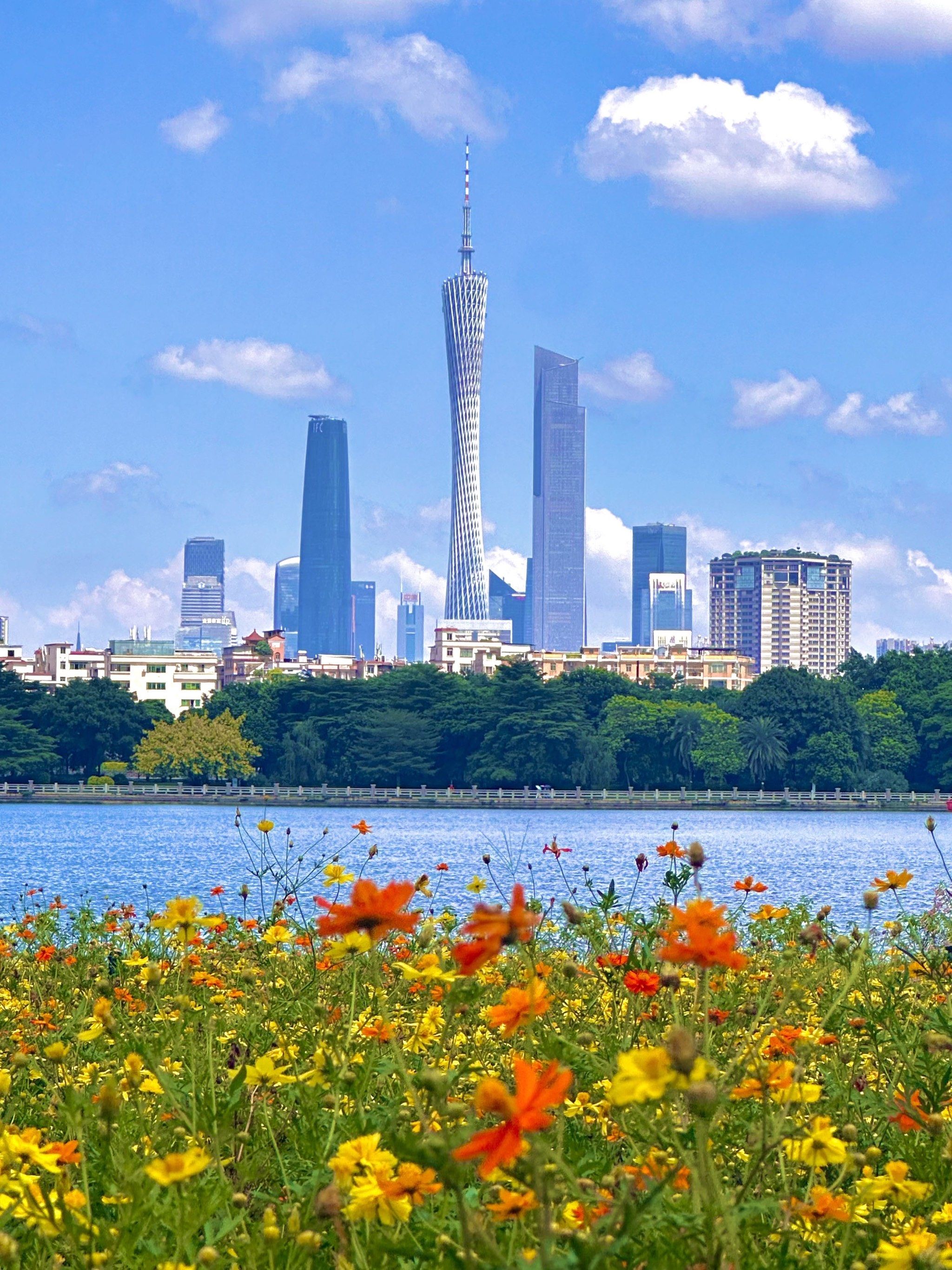 美晕了‼️广州cbd湖畔花海🌼