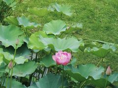-沐仙湖湿地公园