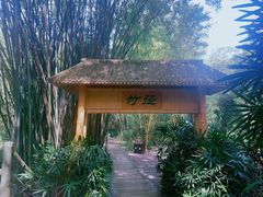 -大屏嶂森林公园