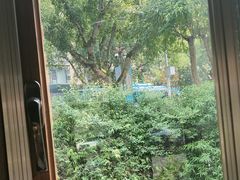 -美食村花园餐厅