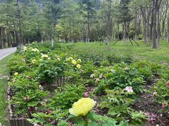 -狼山风景名胜区