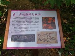 -北京植物园-展览温室