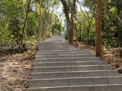 -梧桐山风景名胜区