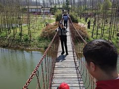 -合肥滨湖国家森林公园