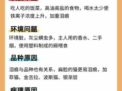 -纳吉亚猫专科动物诊疗中心(蒋宅口分院)