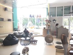 -飞行喵MR PILOT|猫舍·猫咖(静安大融城店)