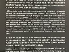 -罗红摄影艺术馆