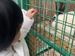-同里湖度假村(二期店)