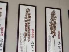 -艾通康缘艾灸.疼痛.睡眠养生馆(凤凰城店)