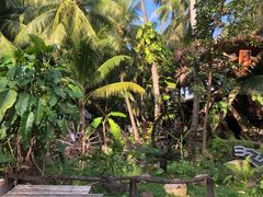 -南湾猴岛+椰田古寨一日游