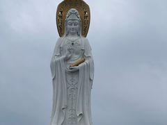 -小海豚•老字号海鲜餐厅(天涯店)