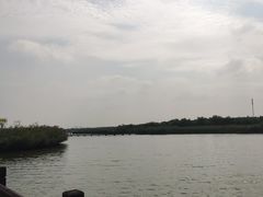 -西青郊野公园