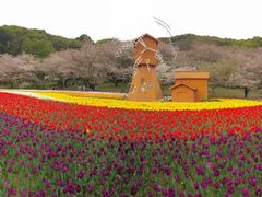 -苏州上方山国家森林公园