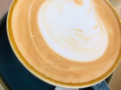 -飞行喵MR PILOT|猫舍·猫咖(静安大融城店)