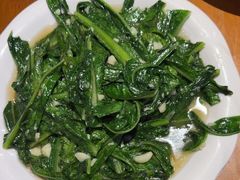 -张老五凉粉店(省医院店)