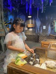 -酷嗒动物文化乐园(cutezoo西溪乐天城店)