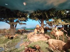 -国家自然博物馆