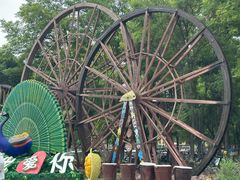 -呀路古热带植物园