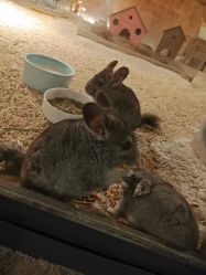 -酷嗒动物文化乐园(cutezoo西溪乐天城店)