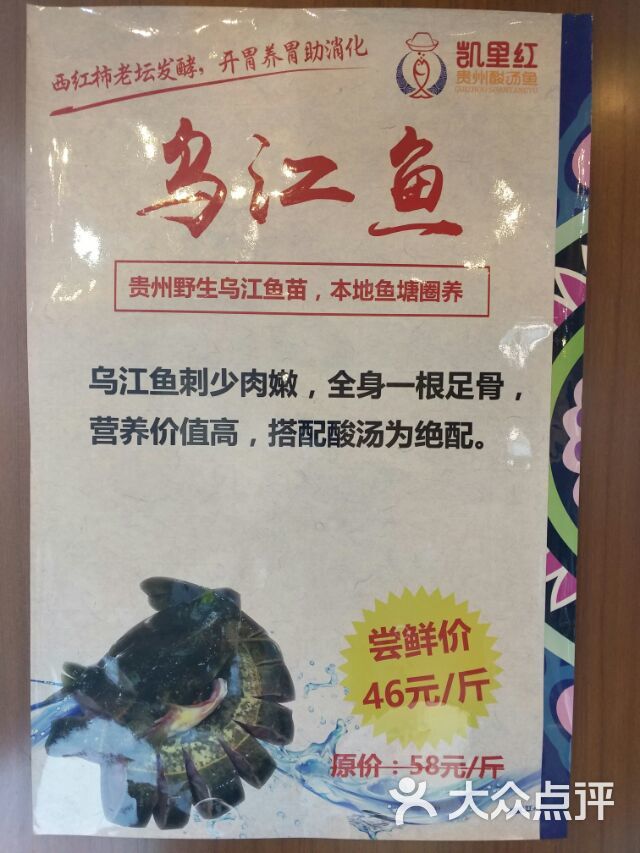 烏江魚簡介