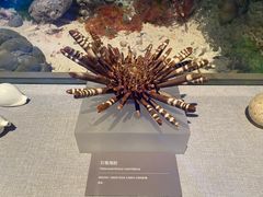 -中国（海南）南海博物馆