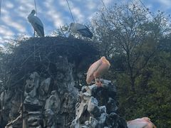 -合肥野生动物园