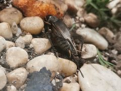 -上海昆虫博物馆