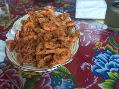 炸河虾-何适山庄 ·可团建(水长城P2停车场店)