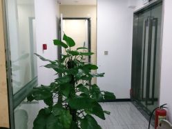 -悟空祛痘·亚健康皮肤管理中心