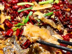 -老板恋上鱼(印象城店)