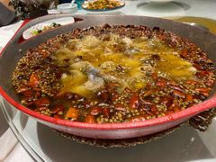 -雲蜀龙阁·金牌水煮鱼(方庄店)