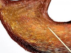 -东方童画少儿美术(莘庄体验馆)