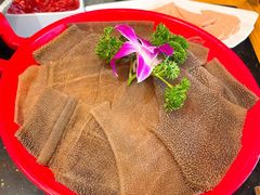 招牌现撕鲜毛肚-大龙燚火锅(南山大道店)