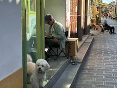 -大青树咖啡(大理古城店)