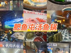 -肥鱼屯活鱼锅(惠工街店)