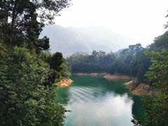-广州市流溪河国家森林公园